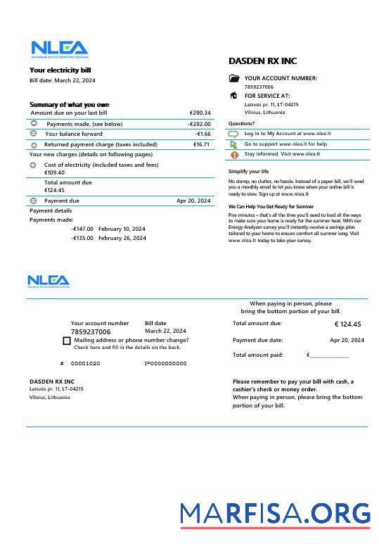 Downloadable Lithuania National Lithuanian Energy Association business utility bill Word and PDF template
